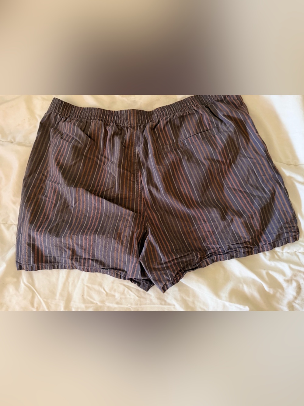 Madewell women’s Navy and Brown Striped Swim Trunks